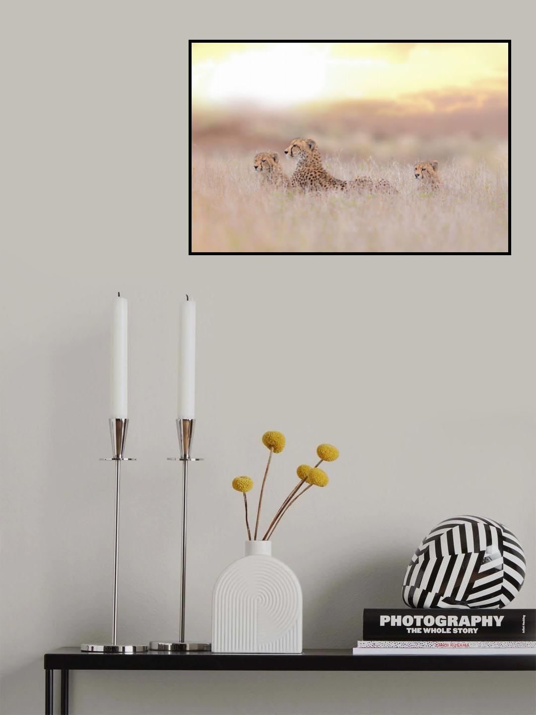 Cheetah Family Poster och Canvastavla