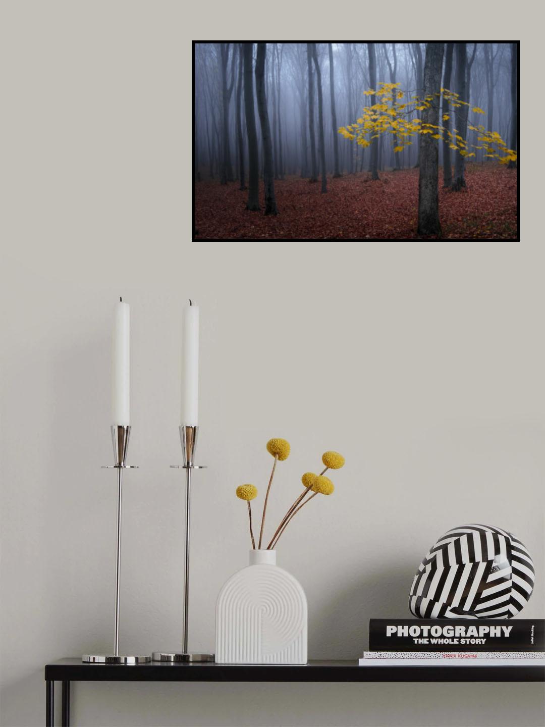 Tree with yellow leaves Poster och Canvastavla
