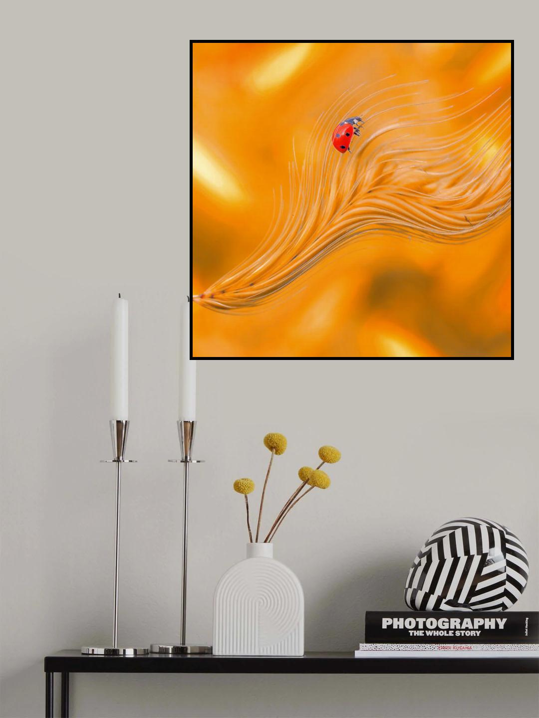 Unstable balance in the wind... Poster och Canvastavla