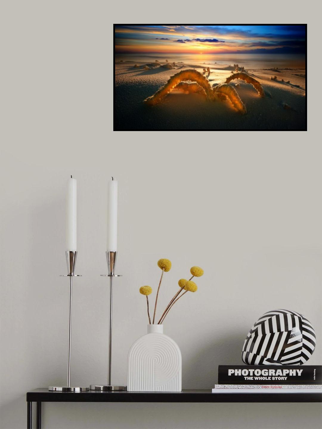 Spider- The Light Aspirator Poster och Canvastavla
