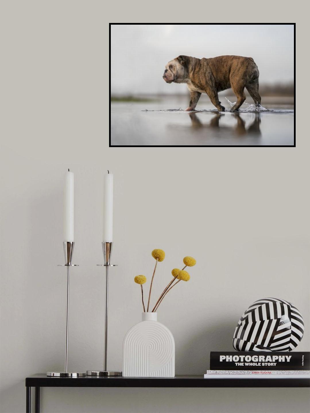 Walking on water Poster och Canvastavla