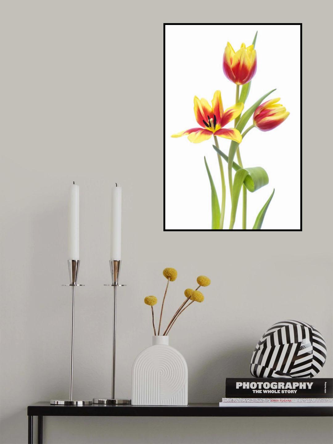 Spring Poster och Canvastavla