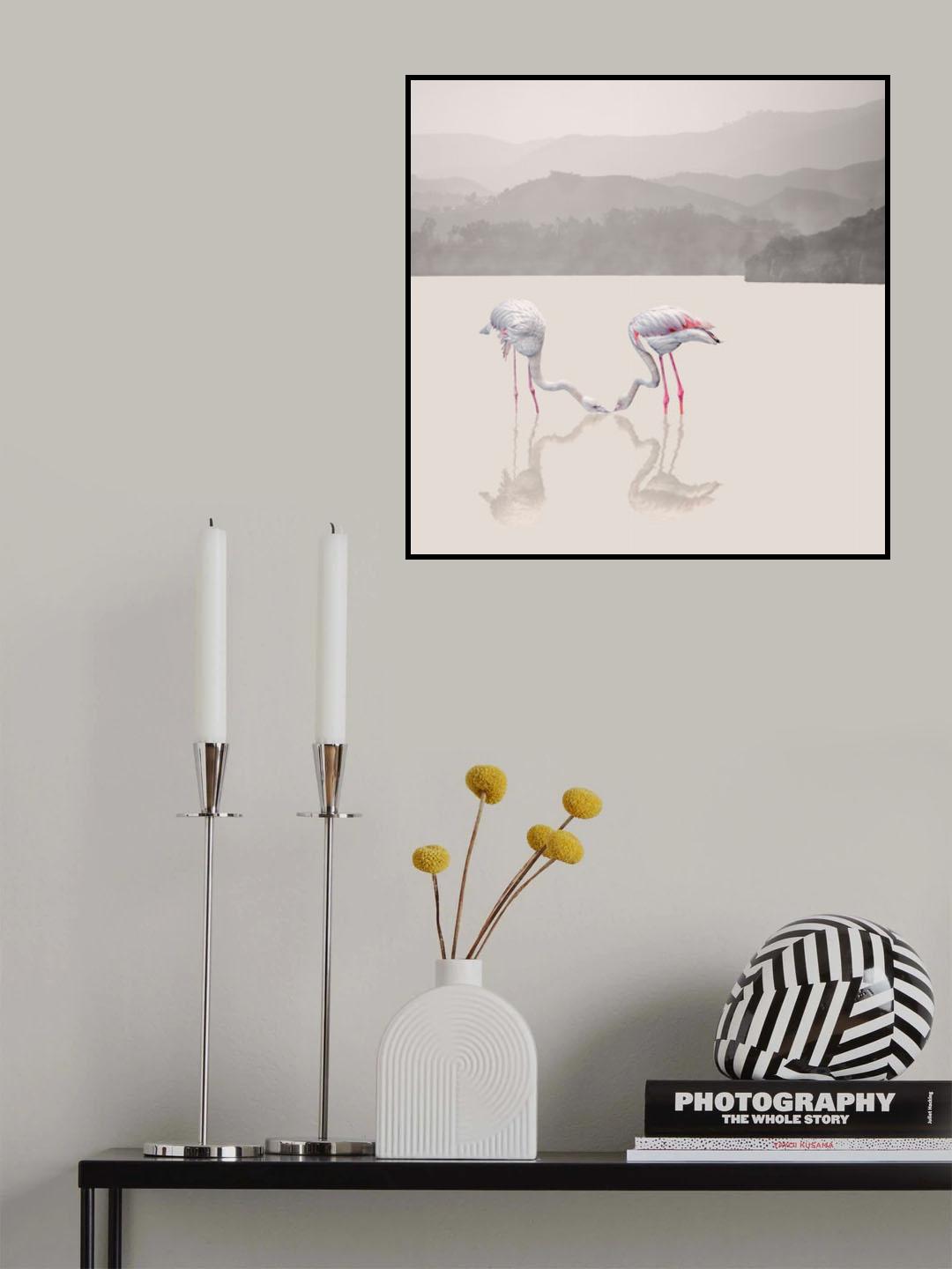 Storks Poster och Canvastavla