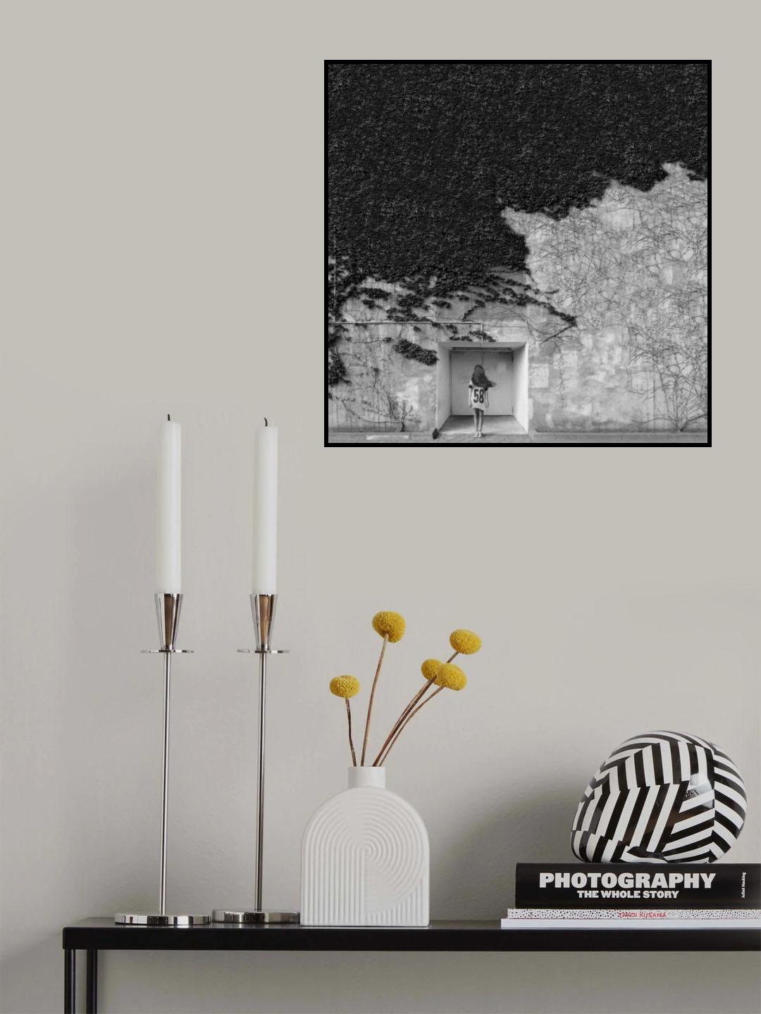 Transience Poster och Canvastavla