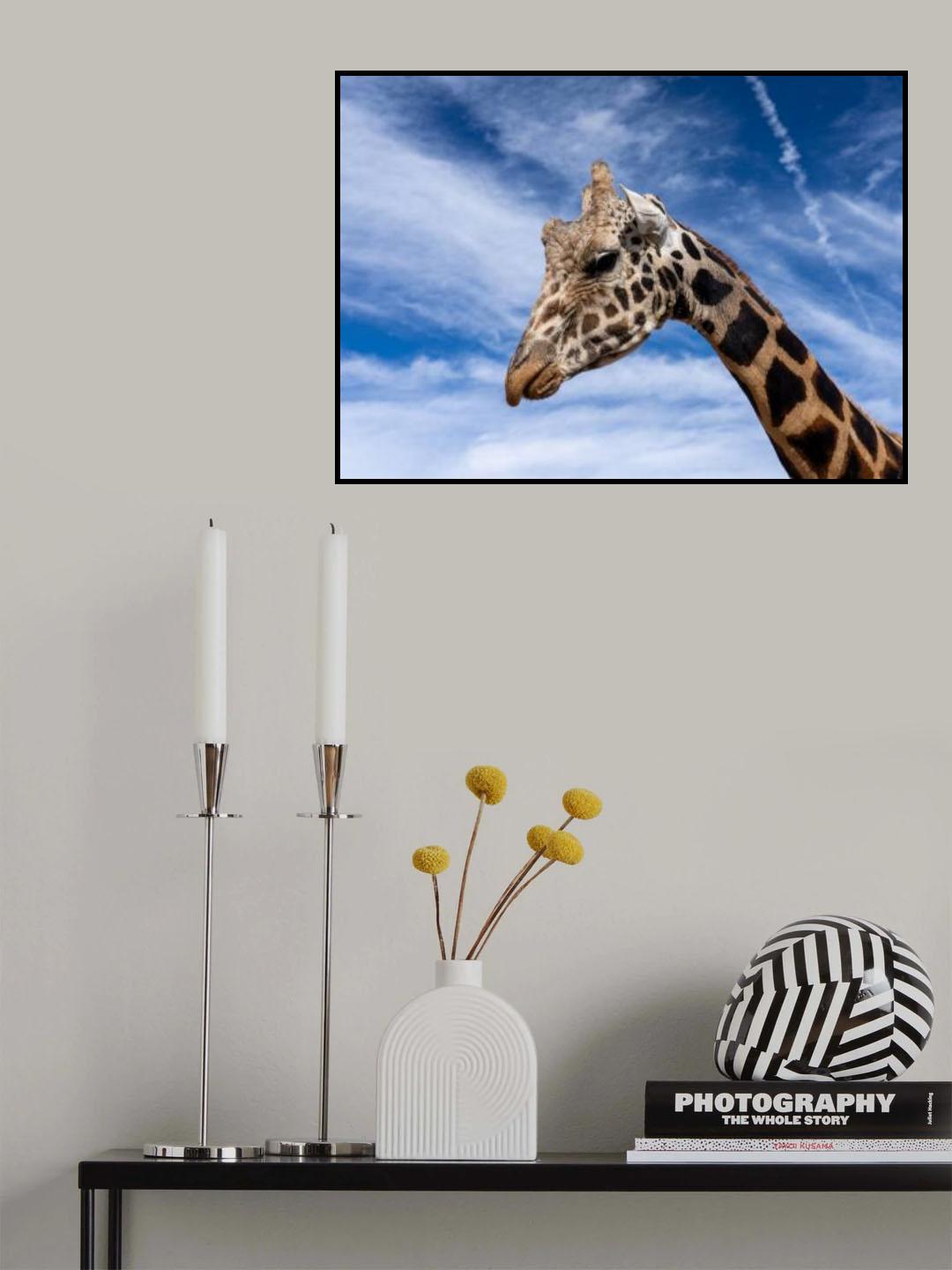 Head in the clouds Poster och Canvastavla