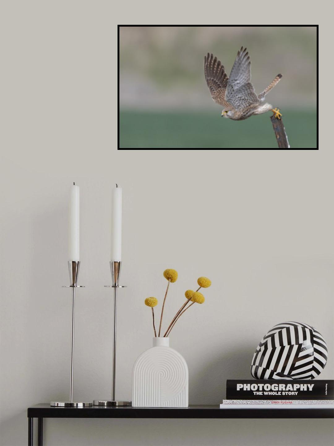 Taking off Poster och Canvastavla