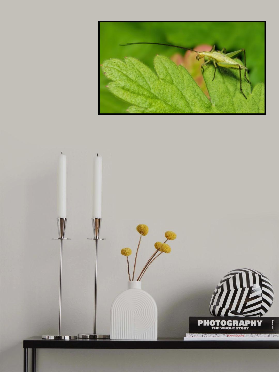 Tree Cricket Poster och Canvastavla