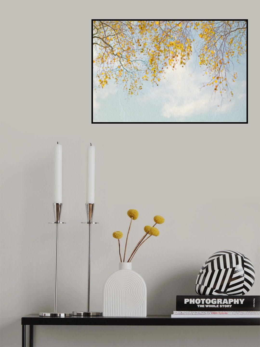 Silver Birch Leaves On Blue Sky Poster och Canvastavla