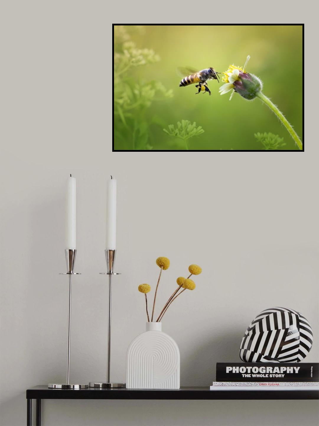 Honey Bee Poster och Canvastavla