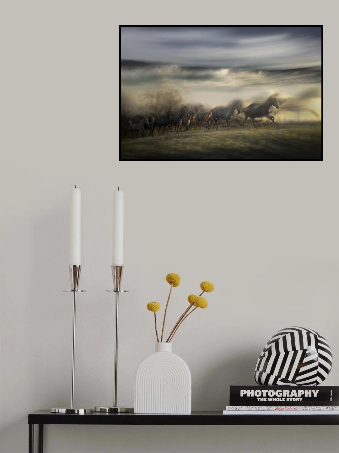 in gallop Poster och Canvastavla