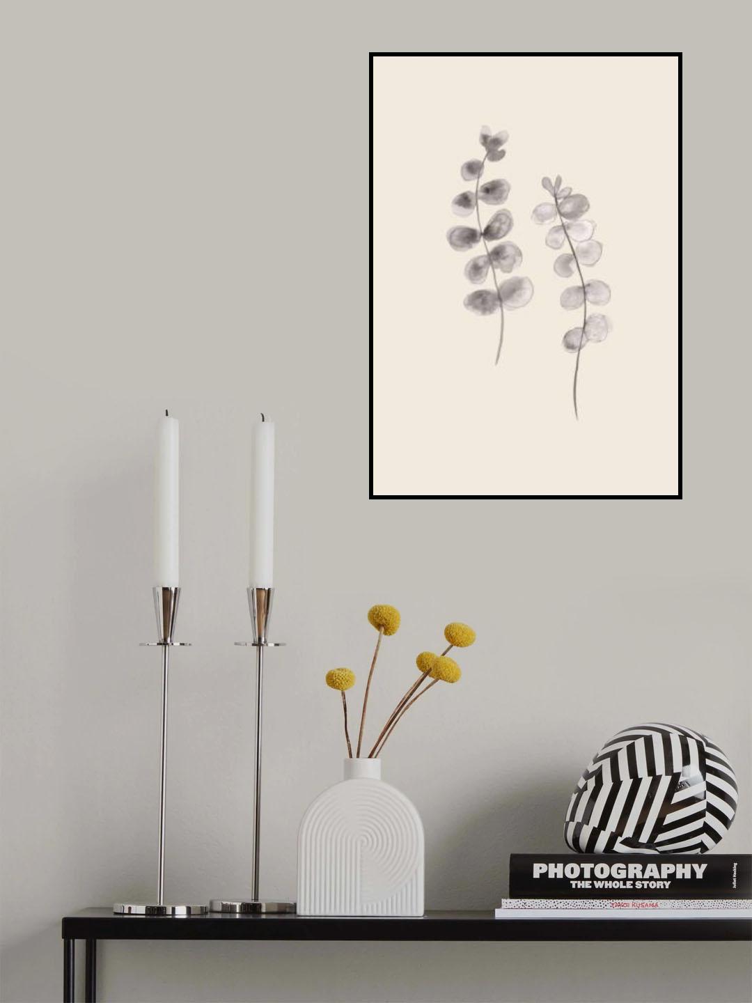 Eucalyptus Twigs Poster och Canvastavla