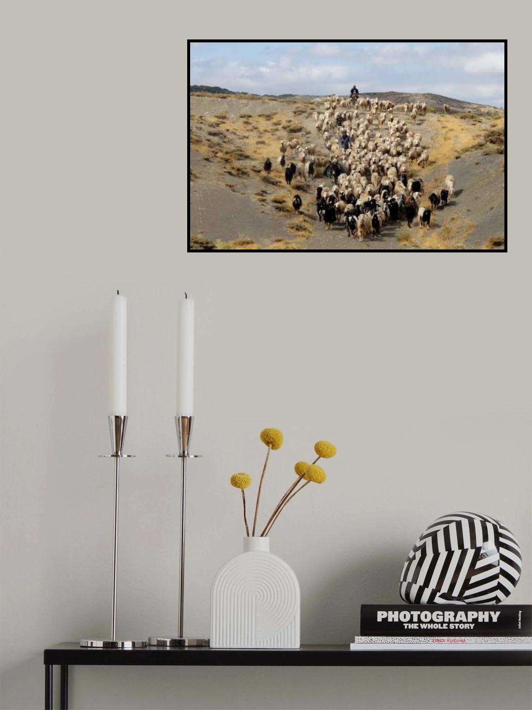 Herd-Golbasi-Ankara Poster och Canvastavla