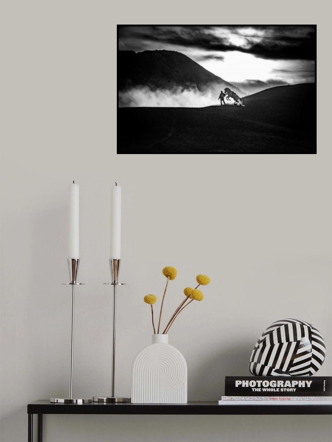 Minimalist - Taming the horse Poster och Canvastavla
