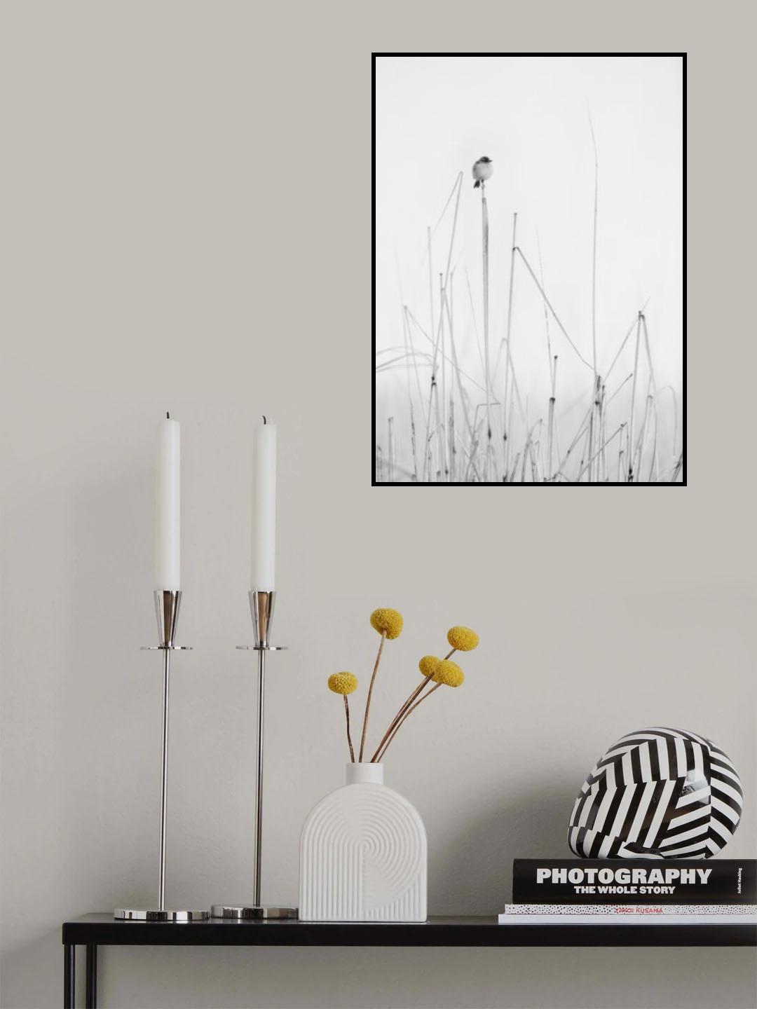 contemplations Poster och Canvastavla