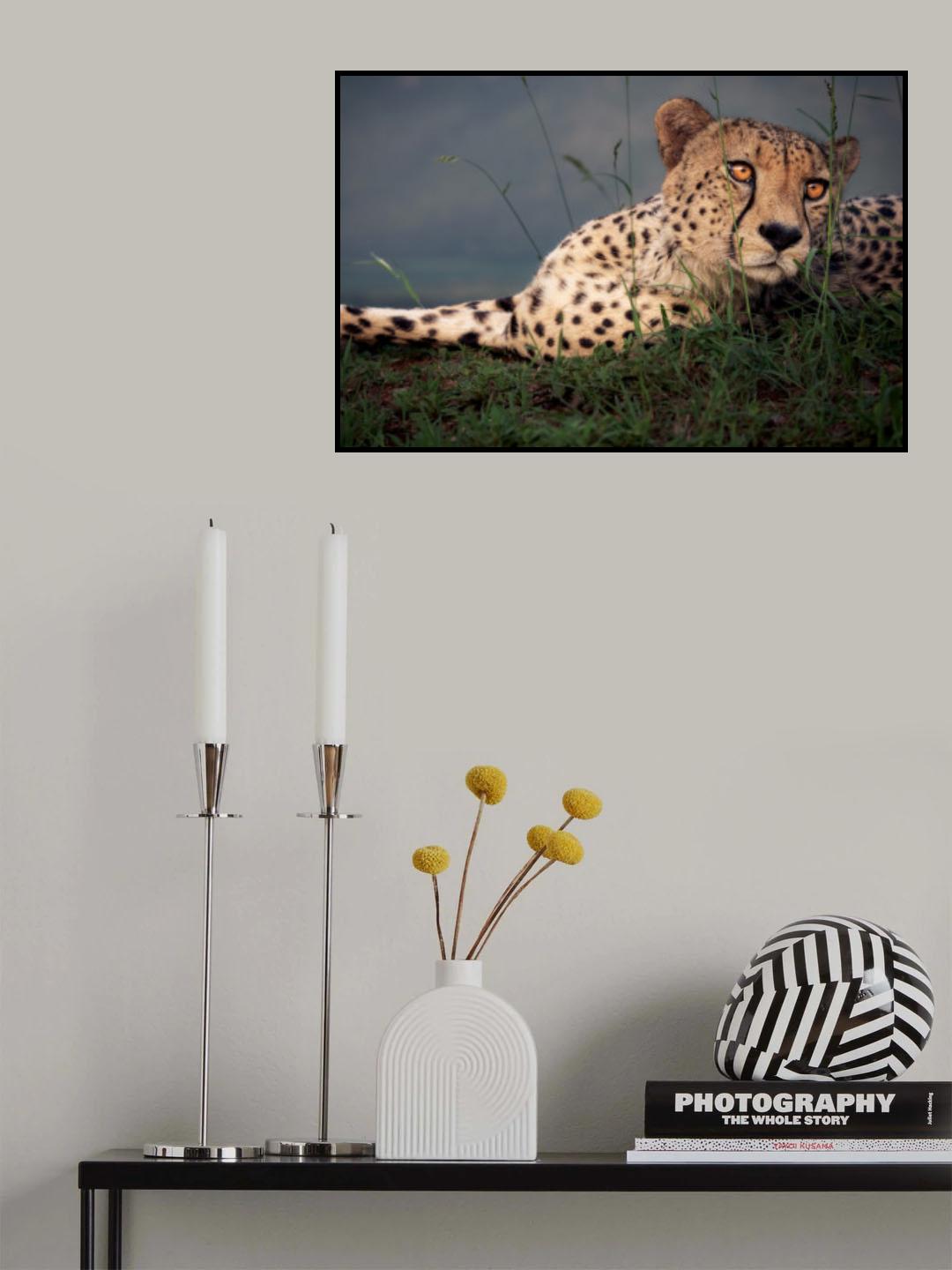 in the mood... Poster och Canvastavla