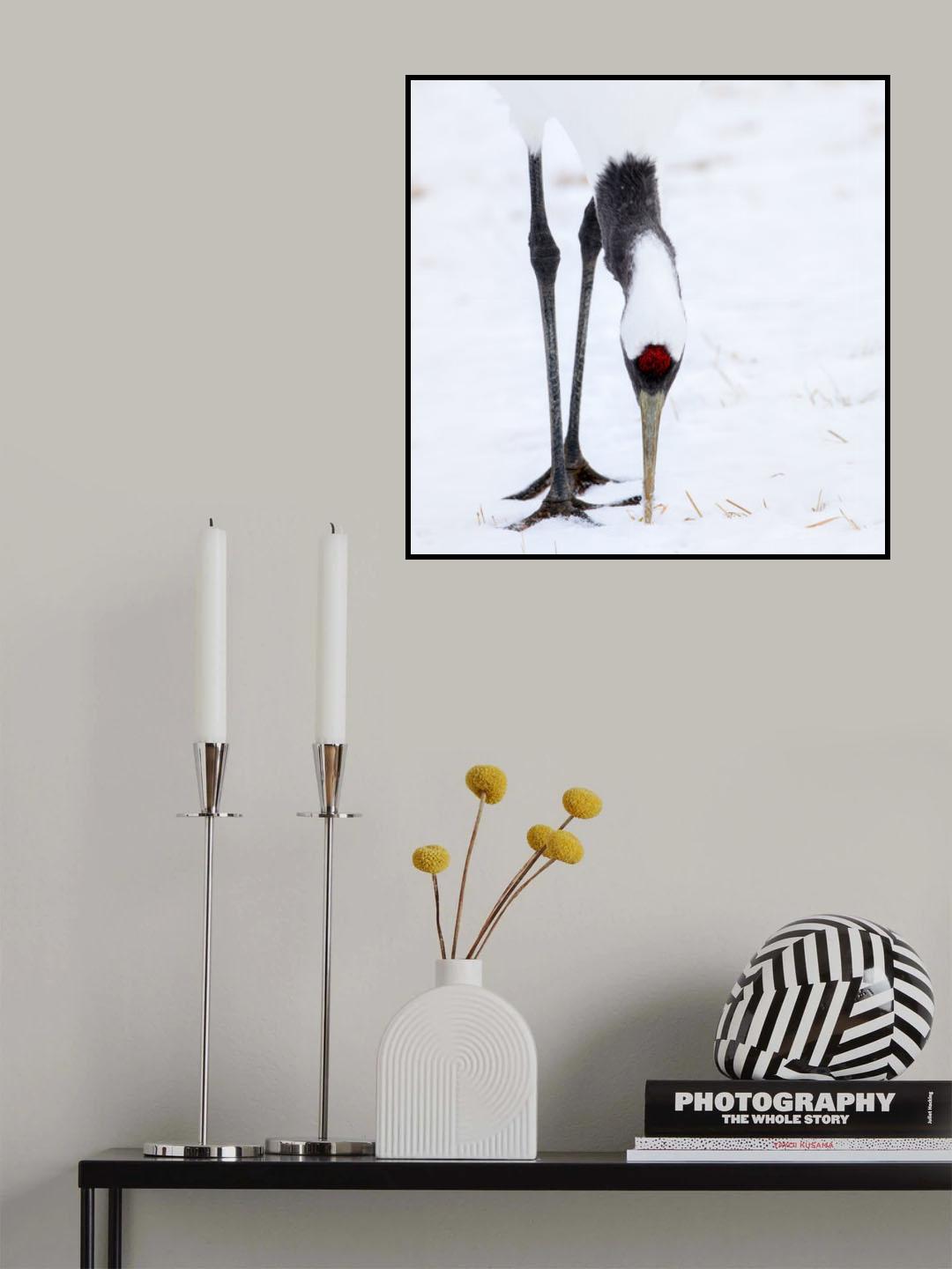 Red Head Poster och Canvastavla