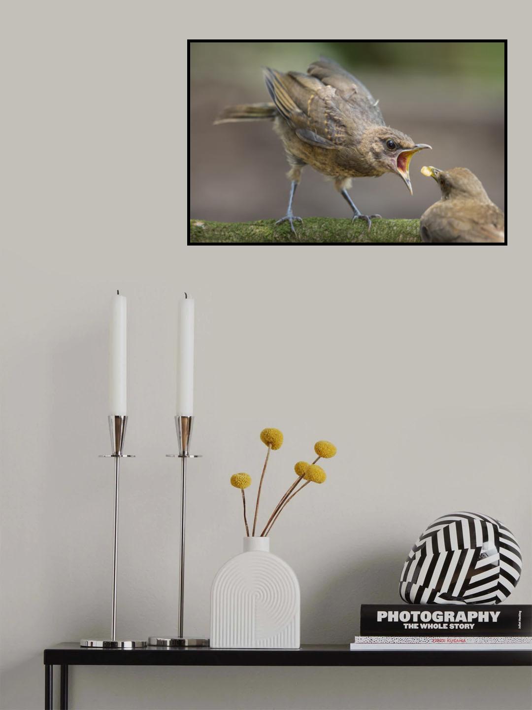 Feed Me! Poster och Canvastavla
