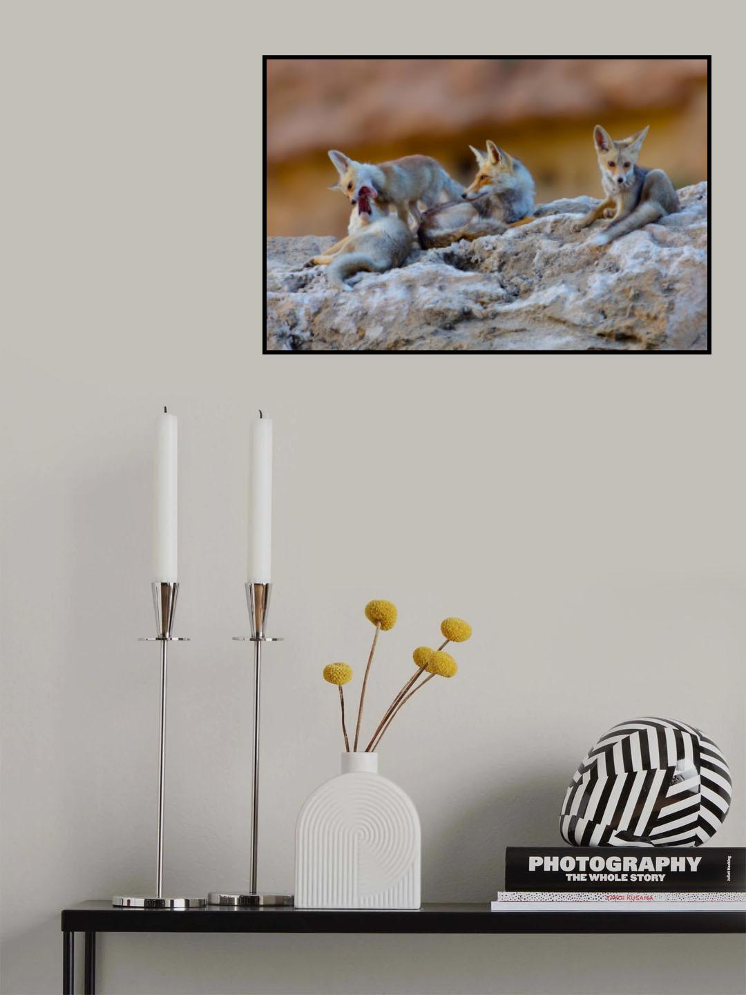 Fox family Poster och Canvastavla
