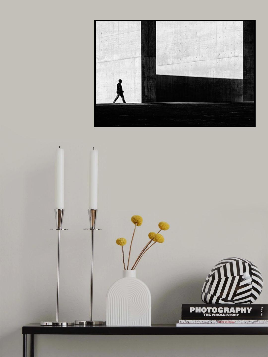 Between light and shadow Poster och Canvastavla