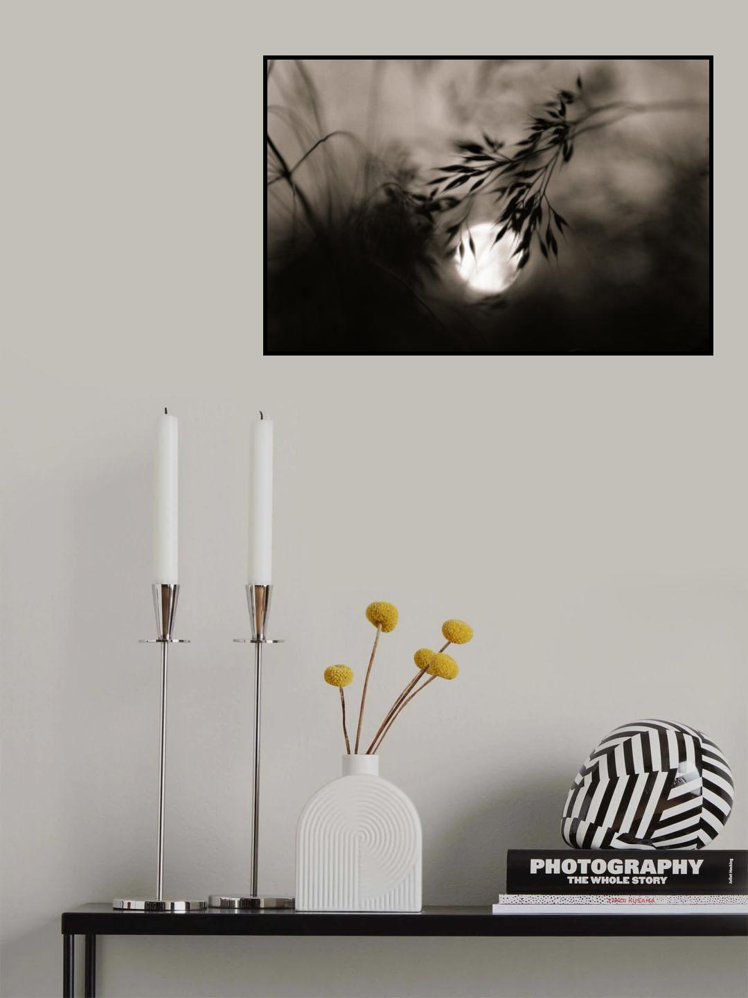 Moonlight sonata Poster och Canvastavla