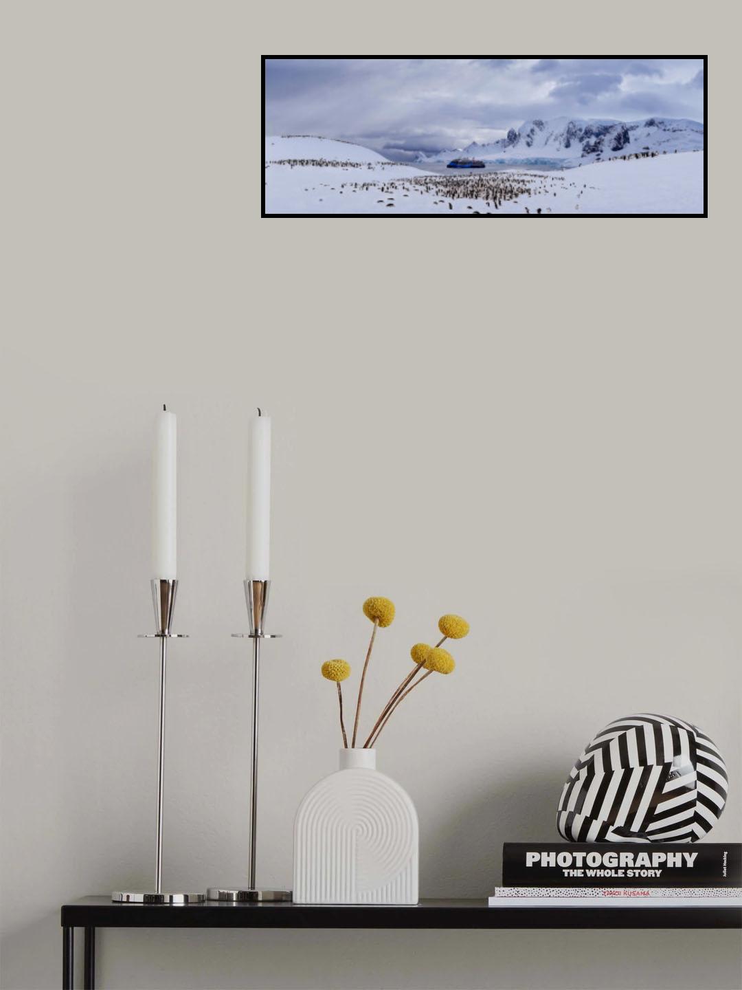 Penguins Camp Poster och Canvastavla