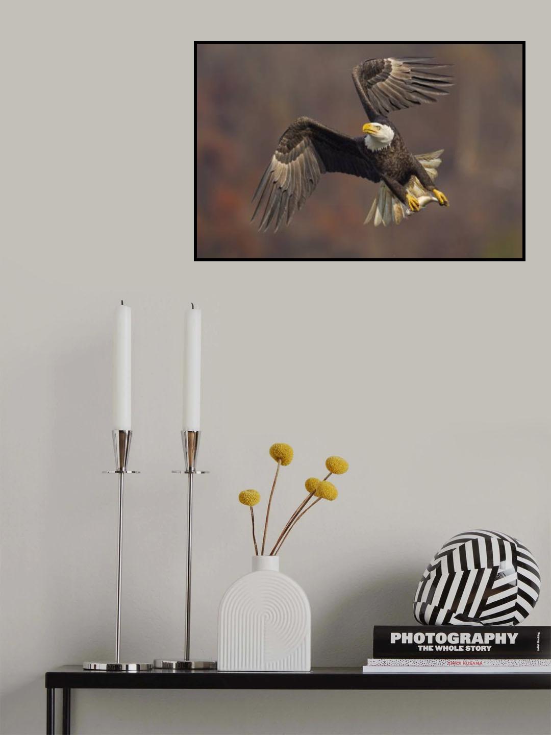 King of the sky Poster och Canvastavla