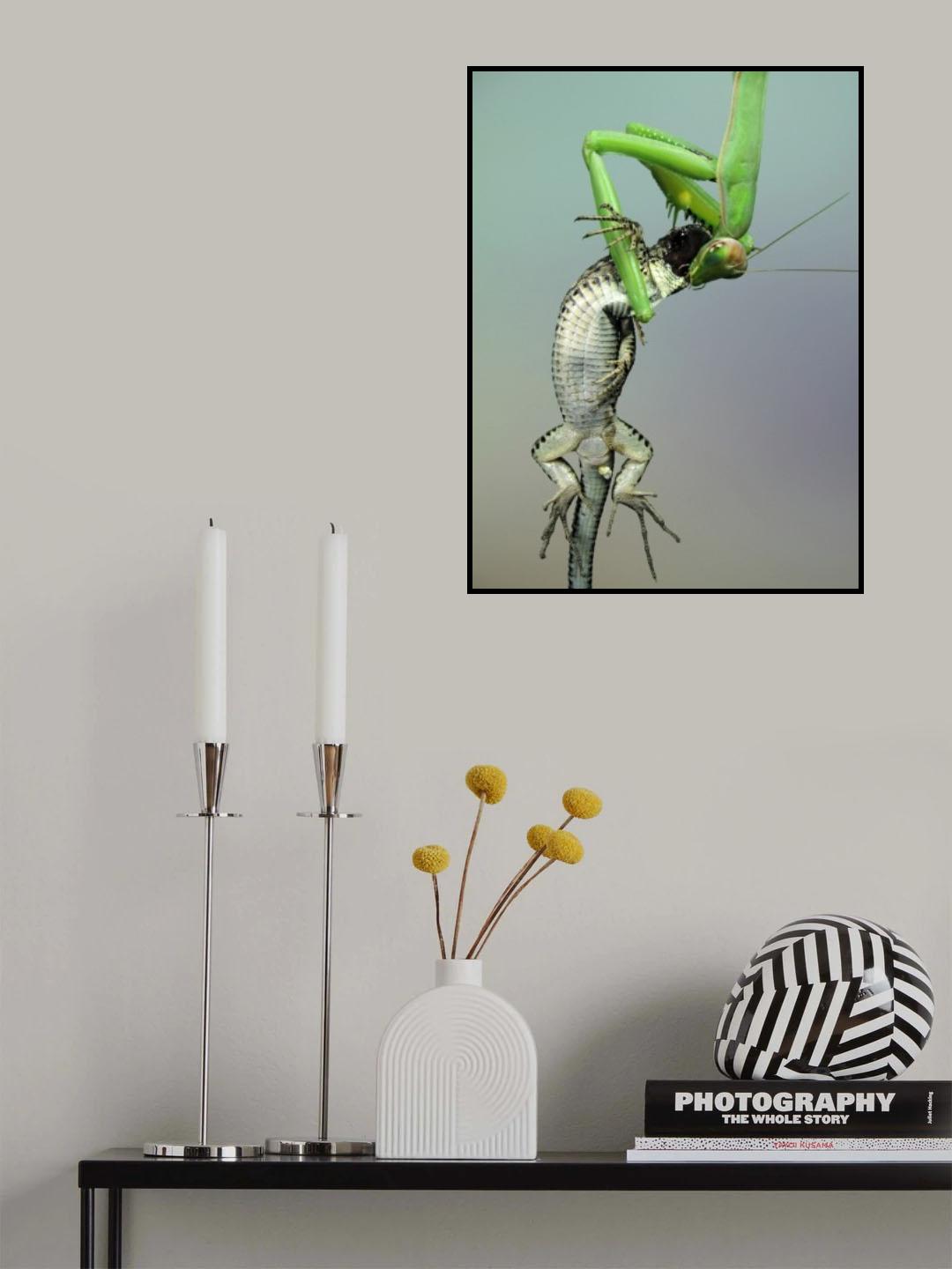 Upside down Poster och Canvastavla