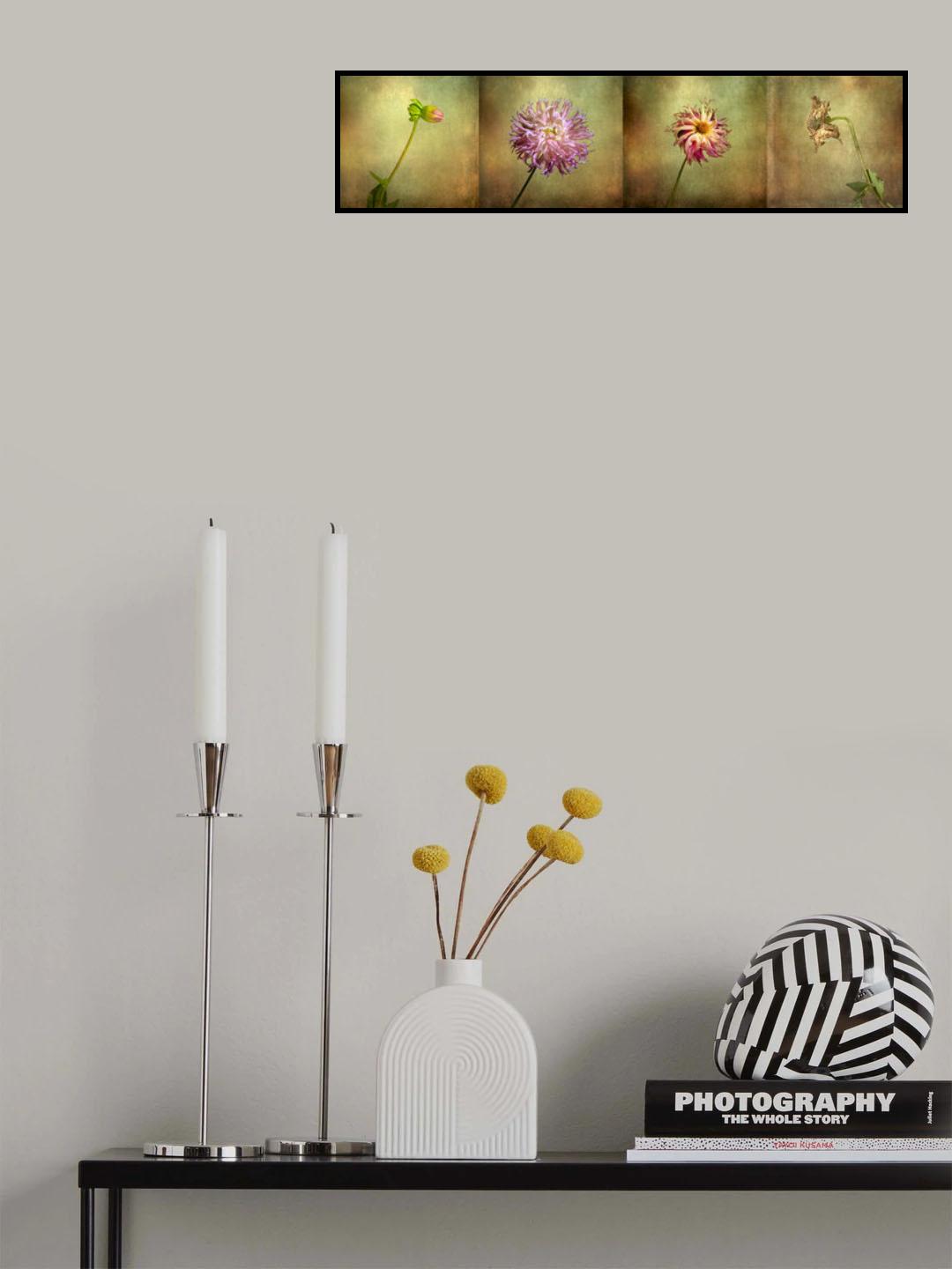 Four Ages of Life Poster och Canvastavla