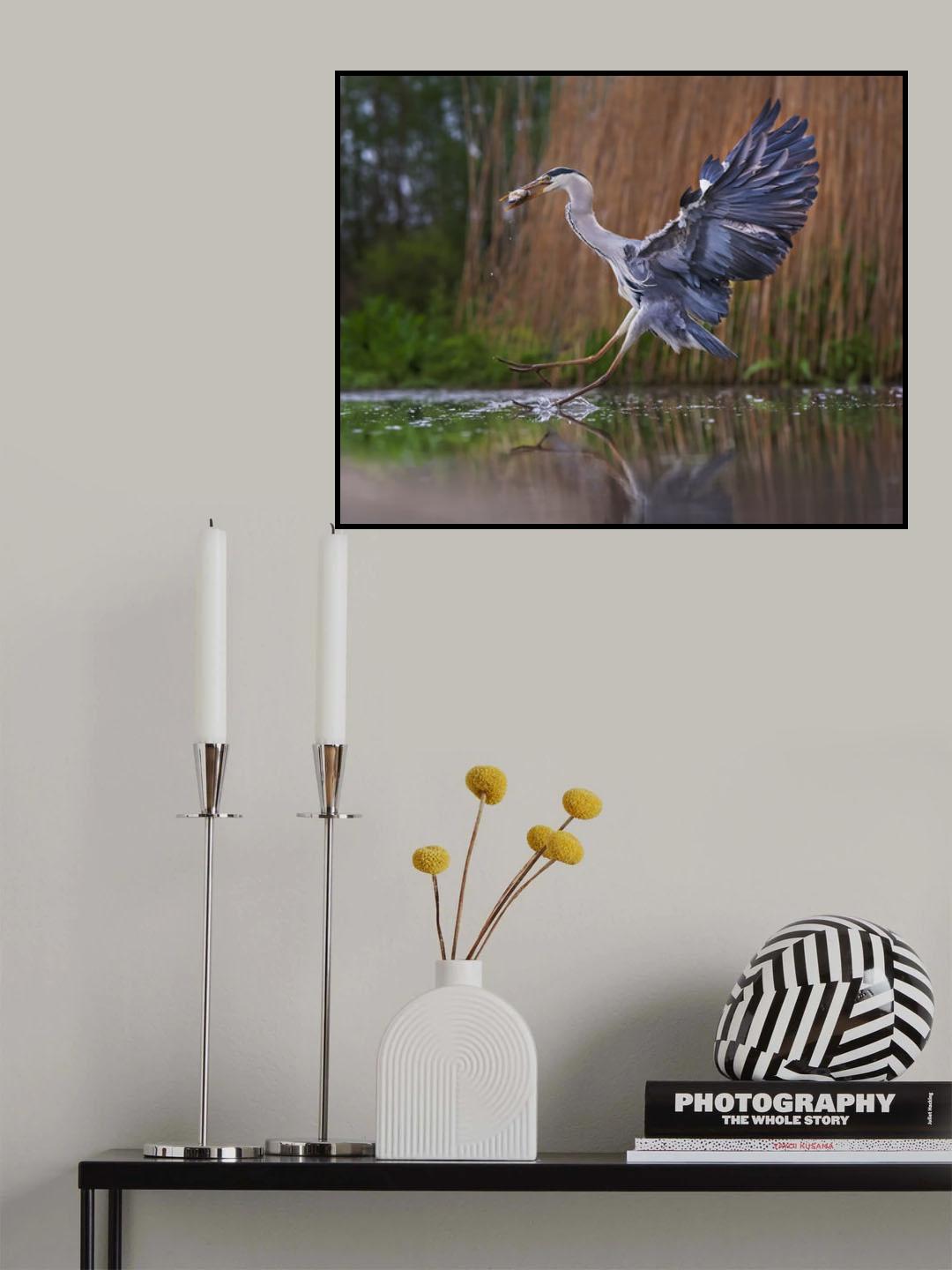 Ballet on the water Poster och Canvastavla