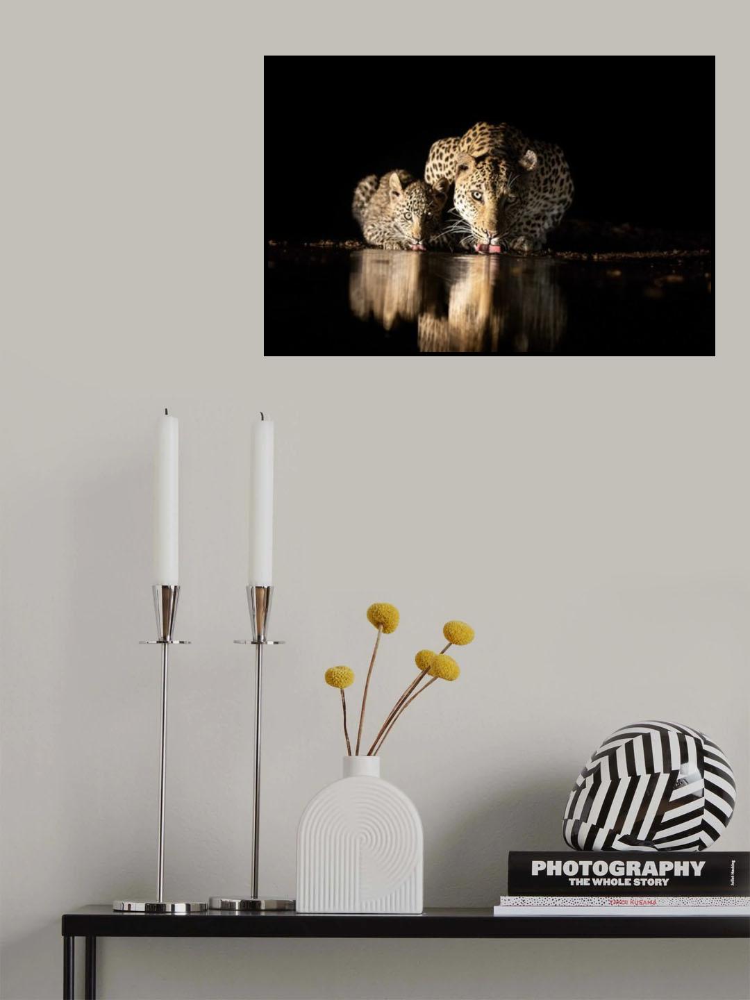 Poster och Canvastavla