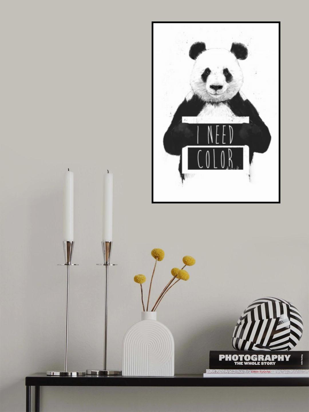 I need color Poster och Canvastavla