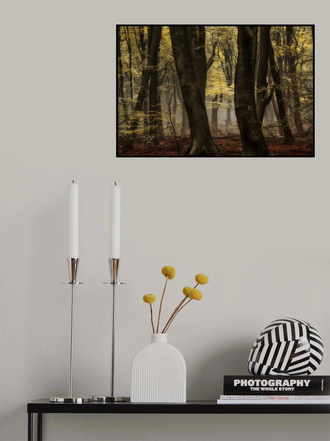Hidden Beauty Poster och Canvastavla