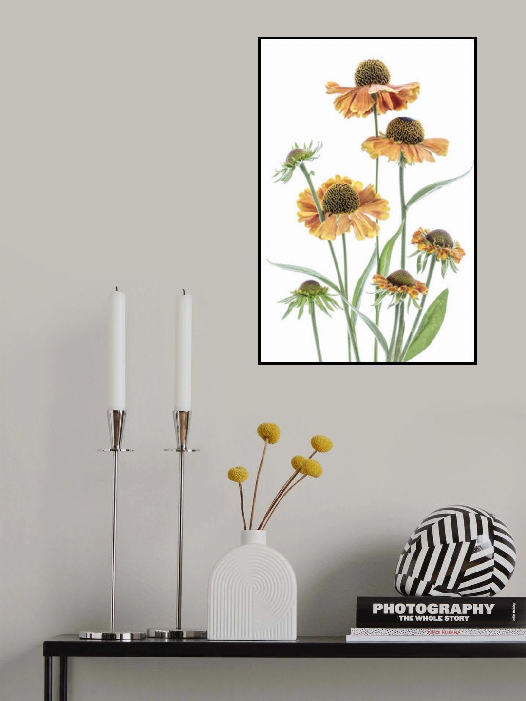 Helenium Poster och Canvastavla