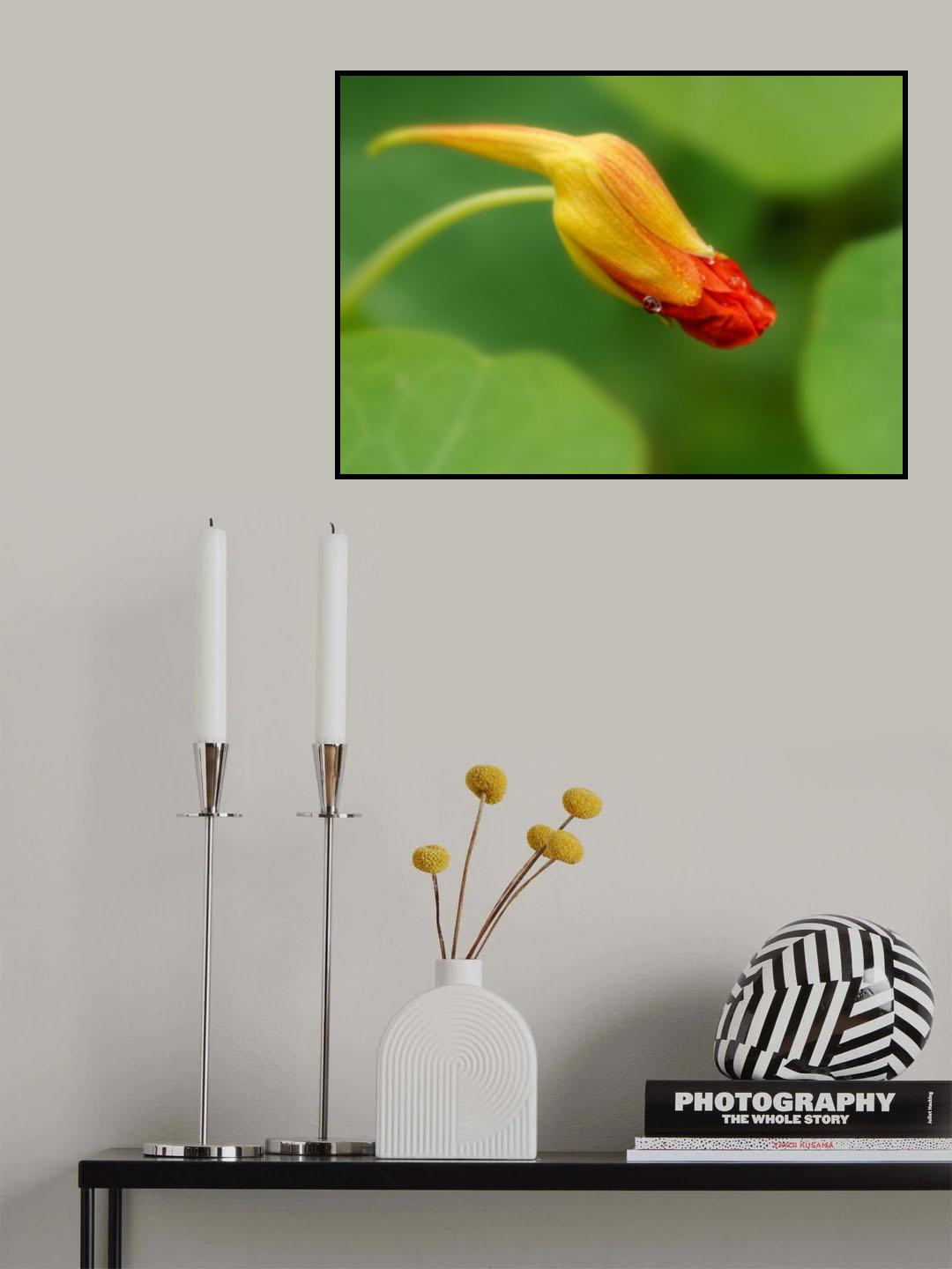 Budding Poster och Canvastavla