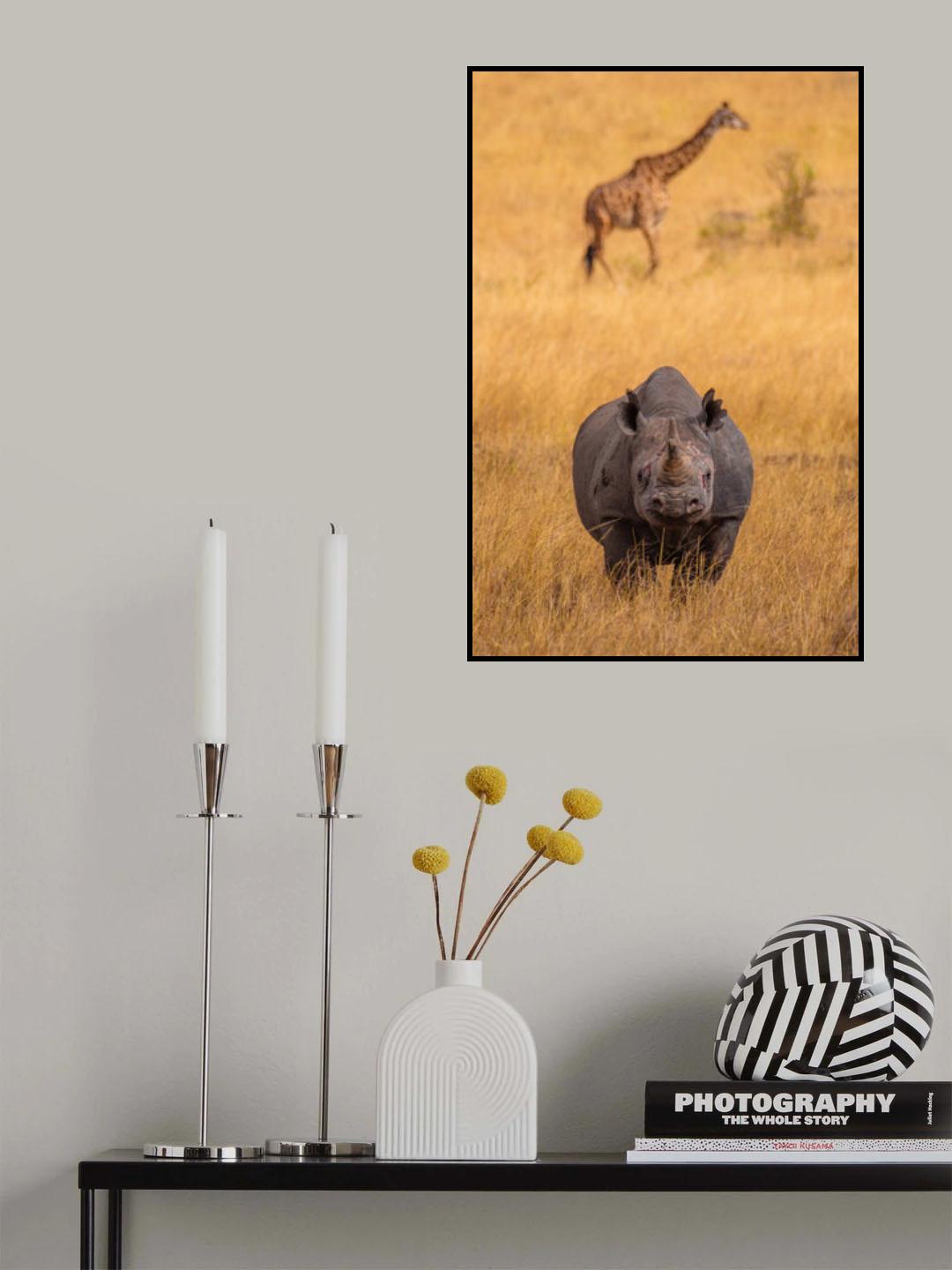 Framed Poster och Canvastavla