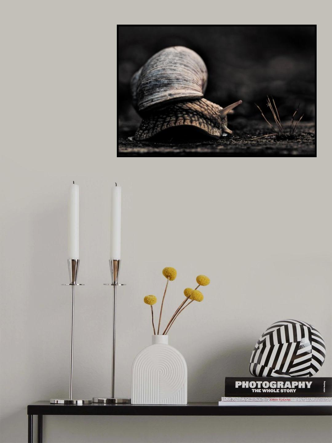 Curved Poster och Canvastavla