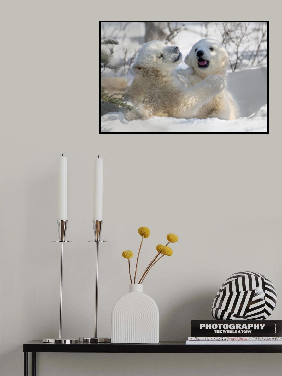 Playful Sibling Poster och Canvastavla