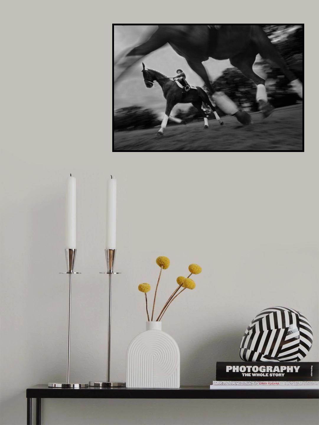 Dresure 2 Poster och Canvastavla