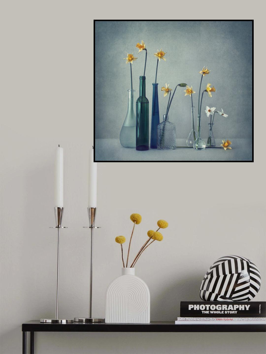 Daffodils Poster och Canvastavla