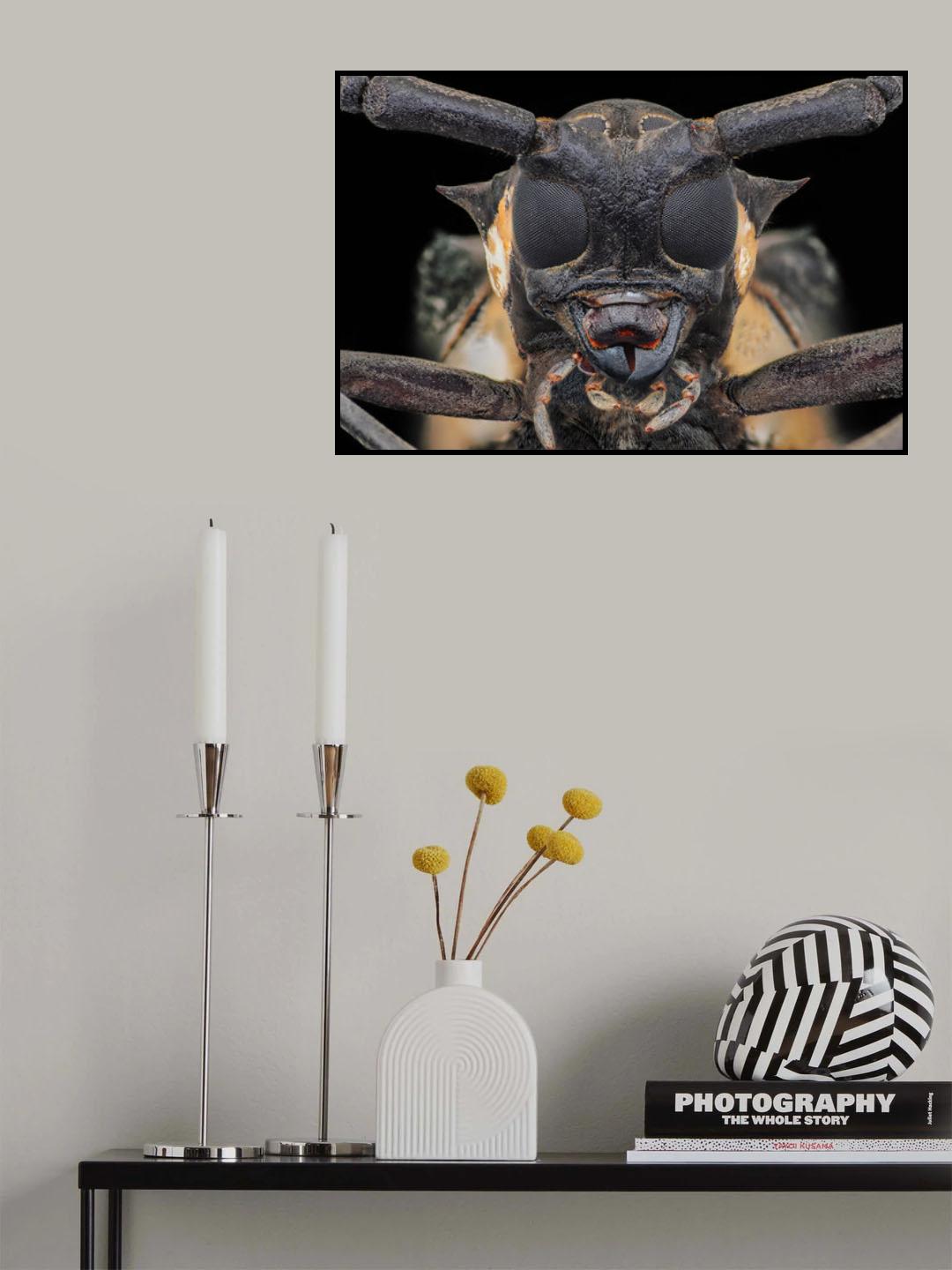 Longhorn Beetle Poster och Canvastavla