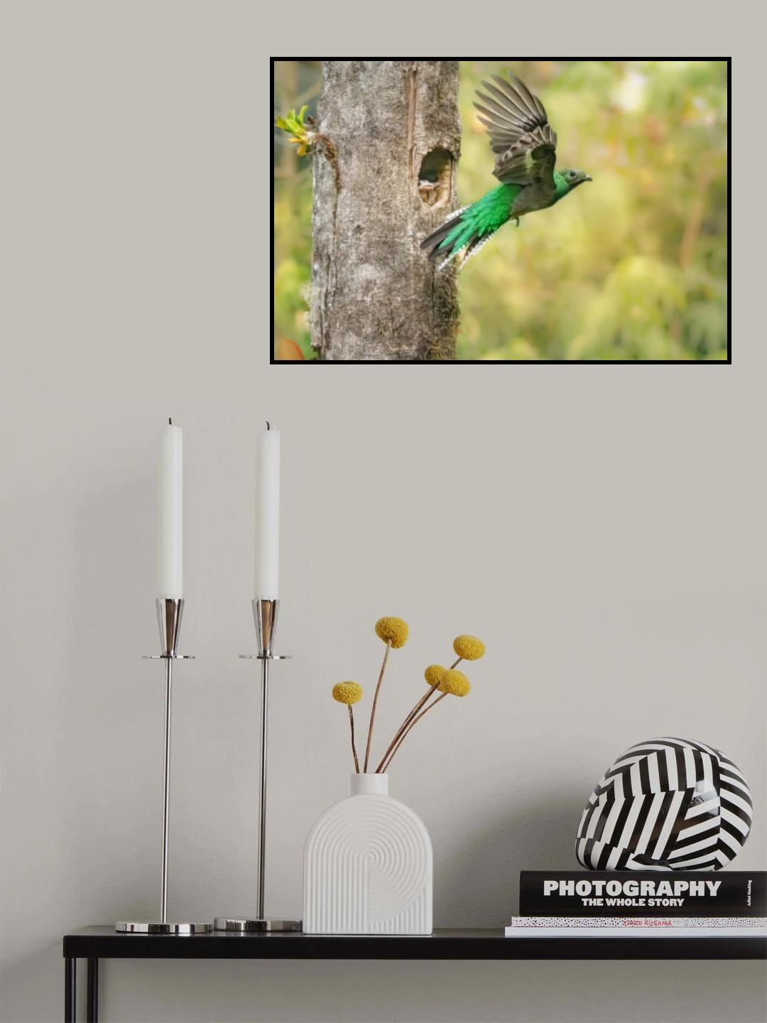 Hunting for babies Poster och Canvastavla