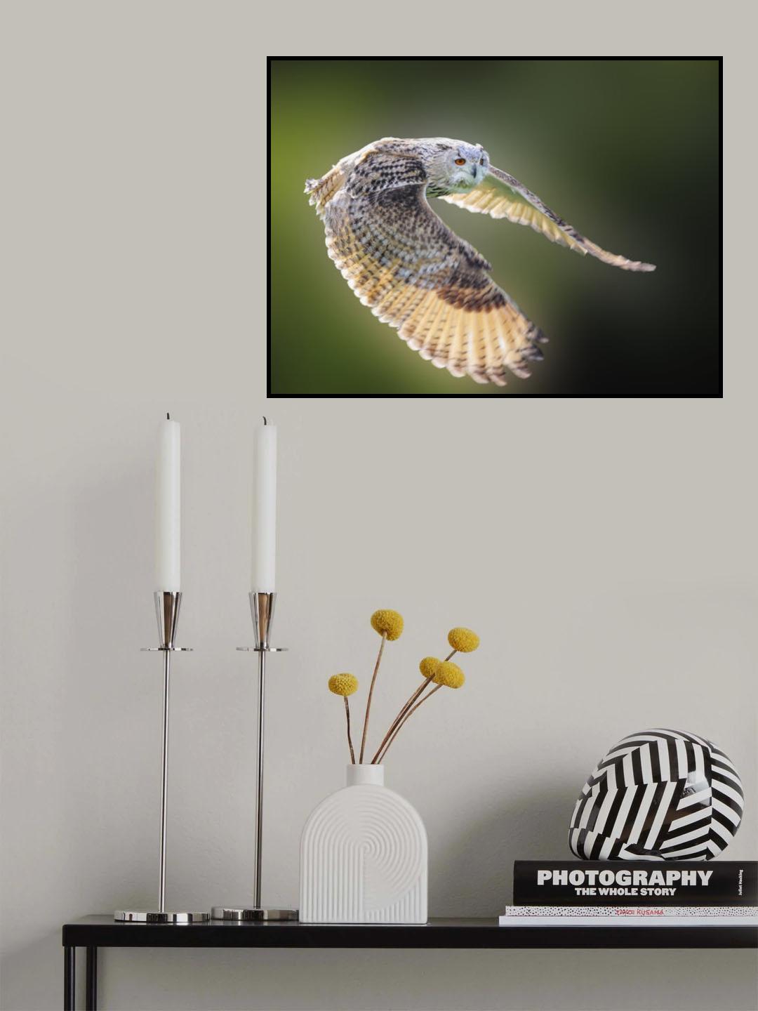 Flying Owl Poster och Canvastavla