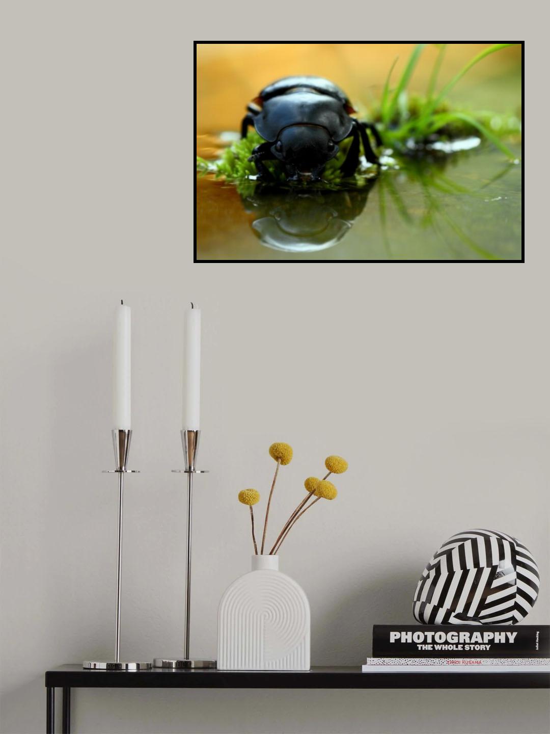 drinking Poster och Canvastavla