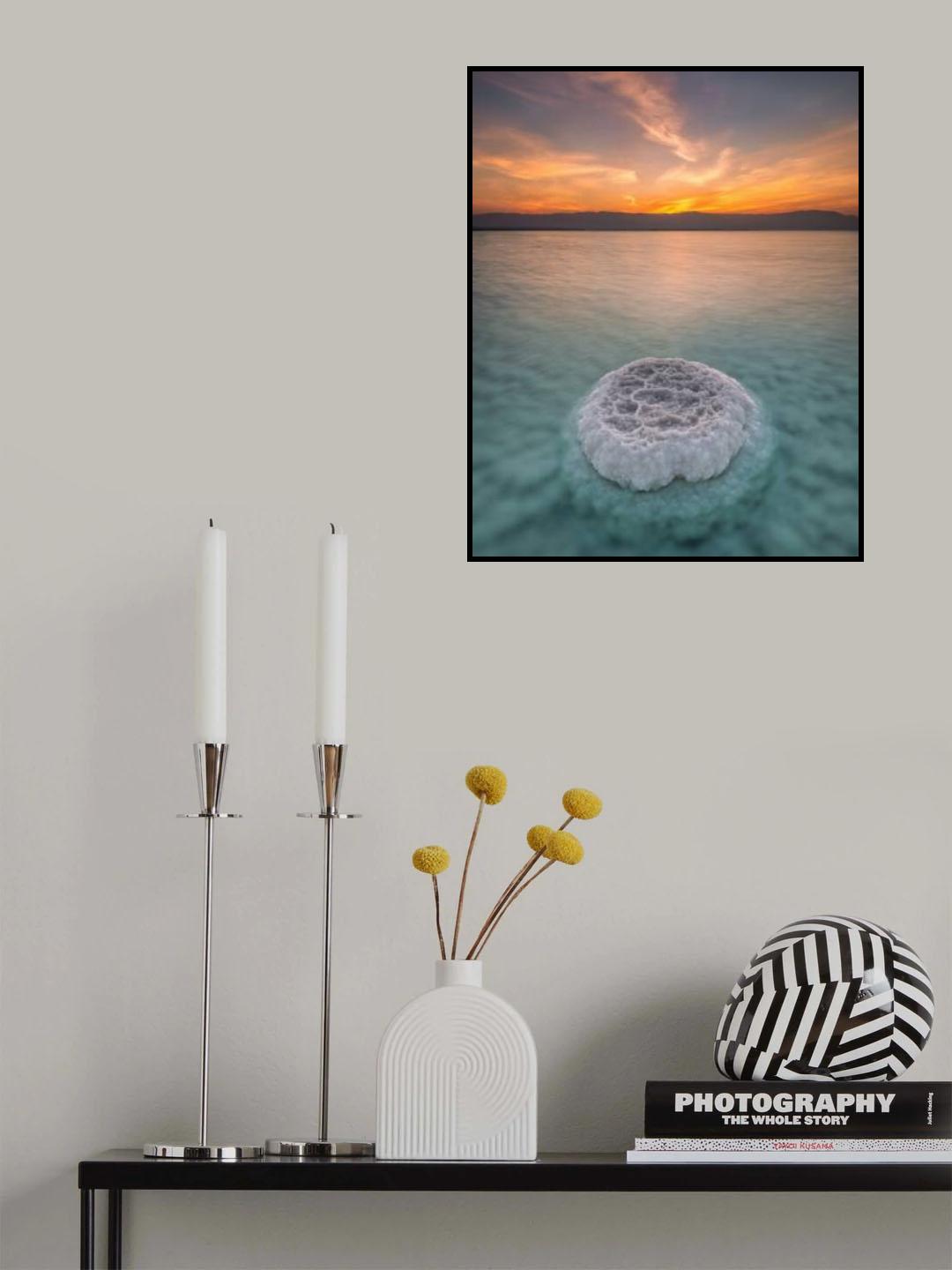 A calm morning Poster och Canvastavla