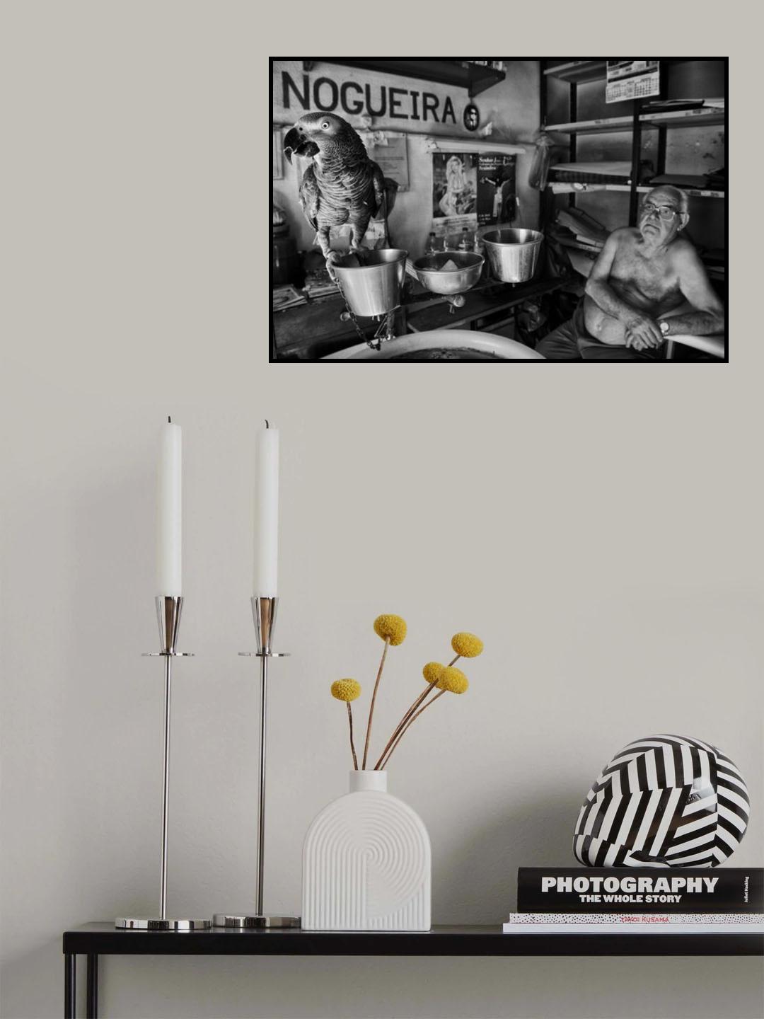 s/t Poster och Canvastavla