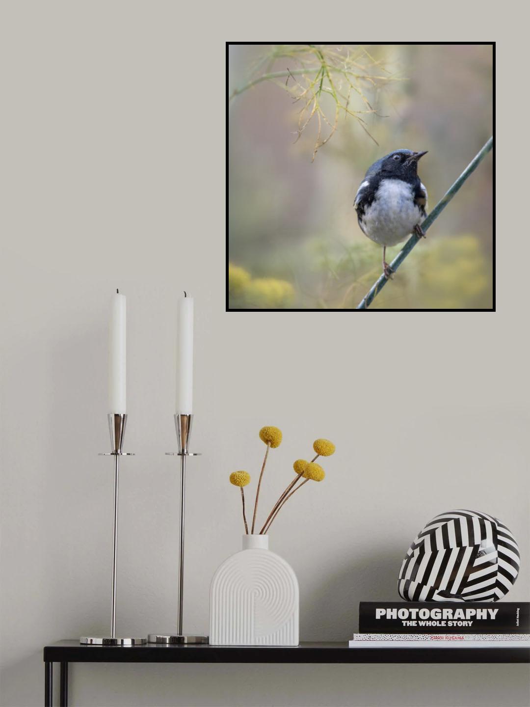 Where are the seeds? Poster och Canvastavla