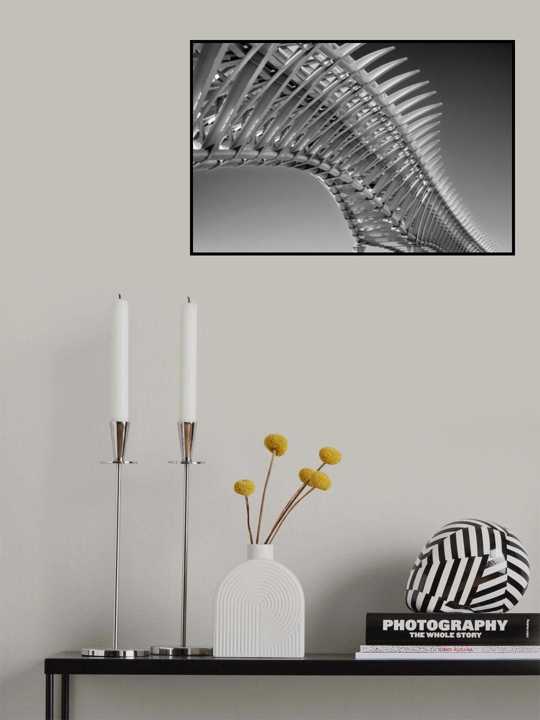 backbone Poster och Canvastavla
