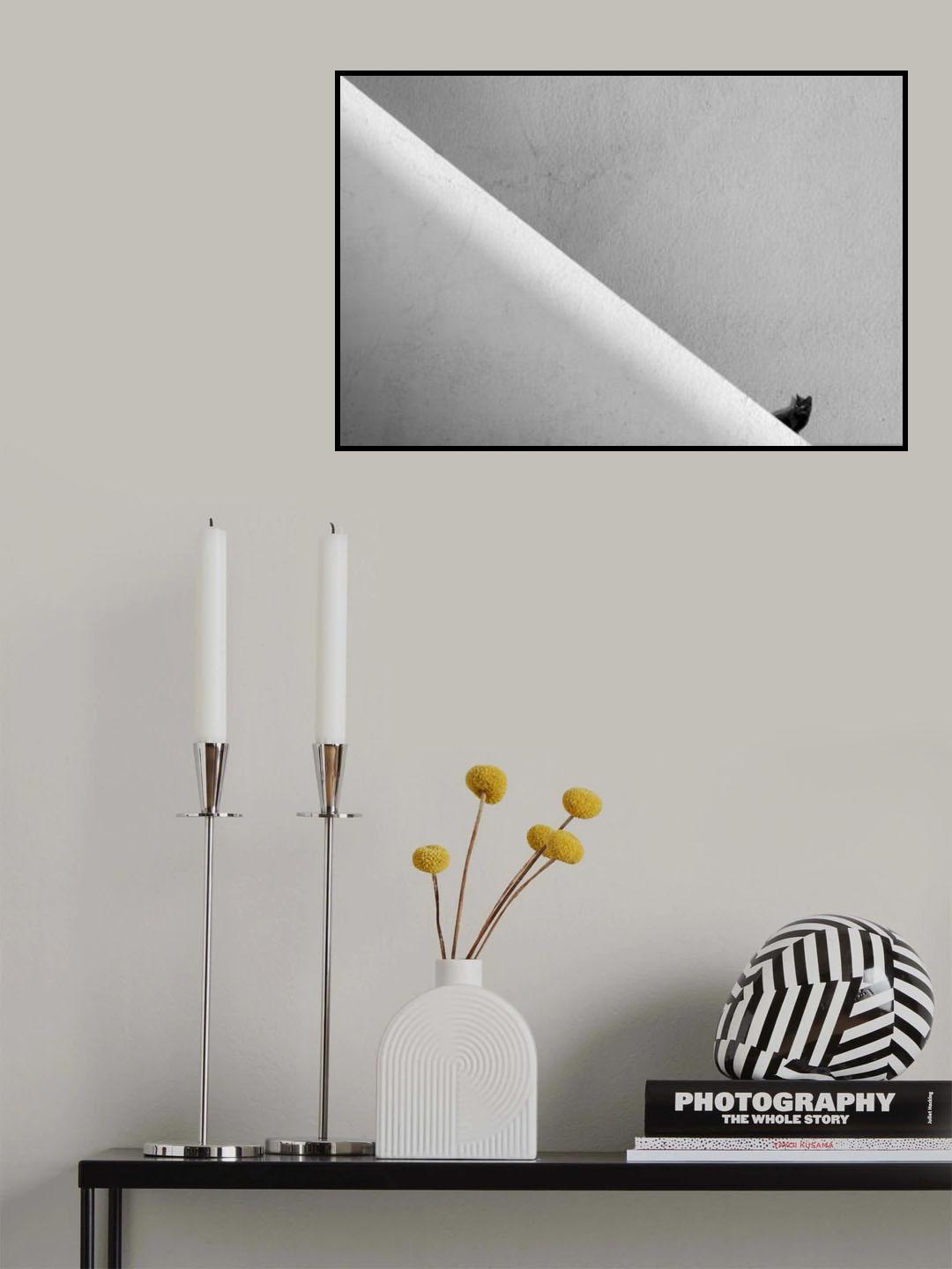 Cat look Poster och Canvastavla