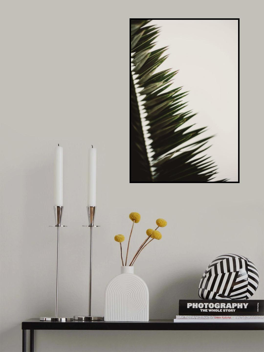Palm Branches Poster och Canvastavla