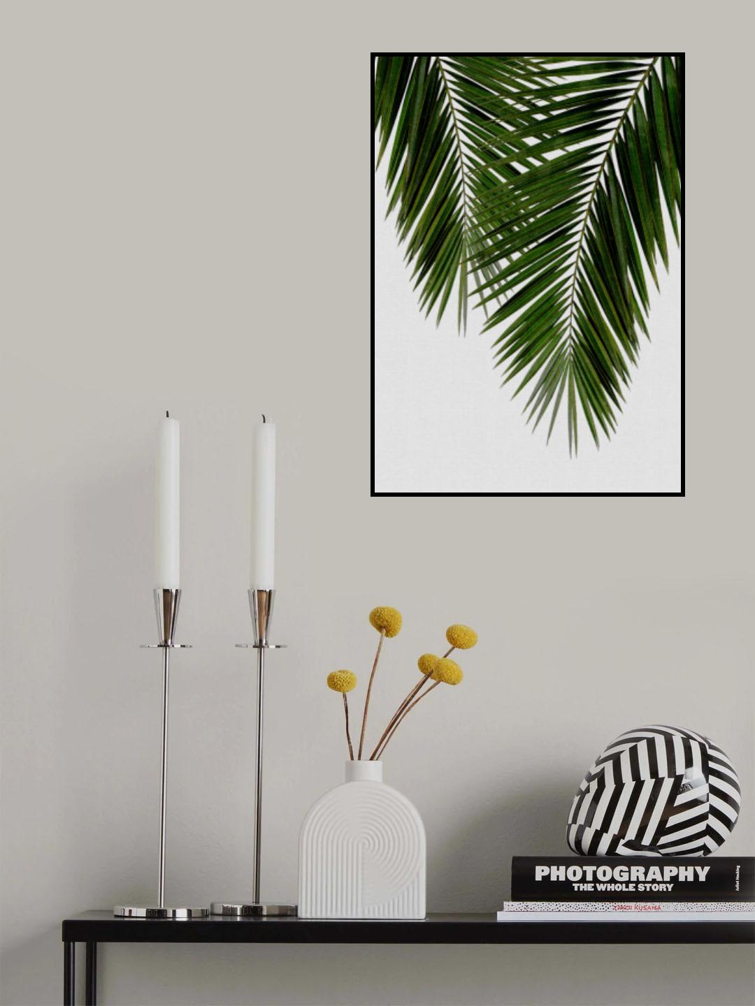 Palm Leaf II Poster och Canvastavla